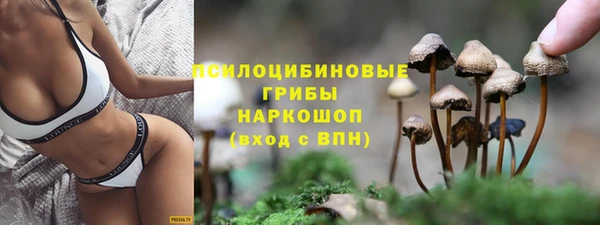 шишки Баксан