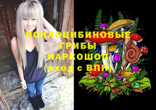 spice Балабаново