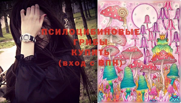 прущие крисы Белокуриха