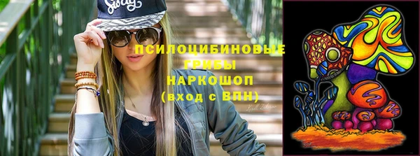 ПСИЛОЦИБИНОВЫЕ ГРИБЫ Беломорск