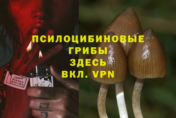 ПСИЛОЦИБИНОВЫЕ ГРИБЫ Беломорск