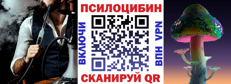 Псилоцибиновые грибы Psilocybe  купить наркотики сайты  Кольчугино 
