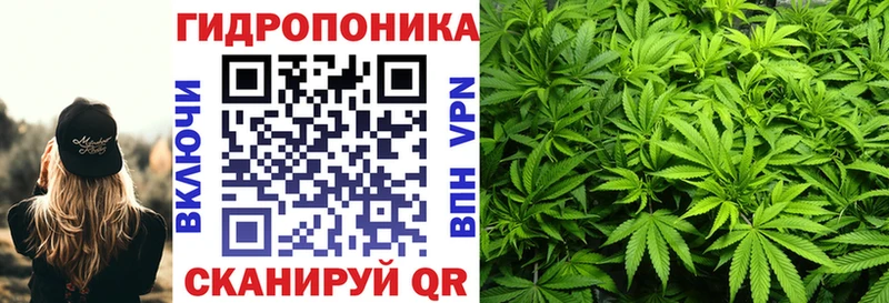 Марихуана Bruce Banner Кольчугино